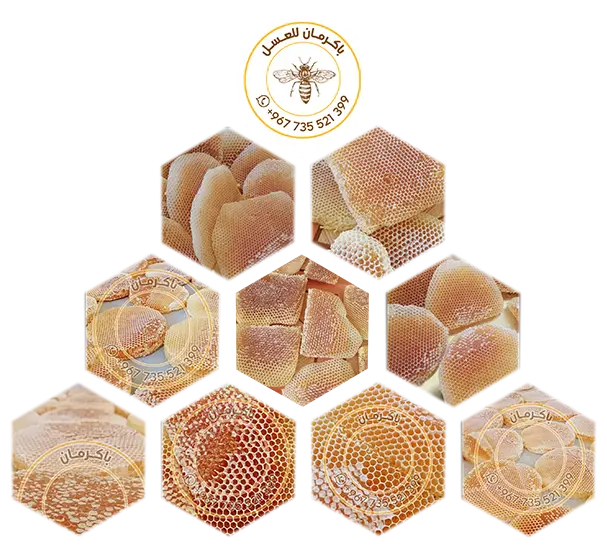 Bakarman For Honey in Hadhramout